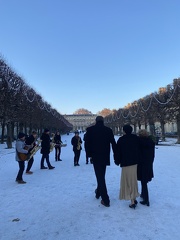 IMG 3505